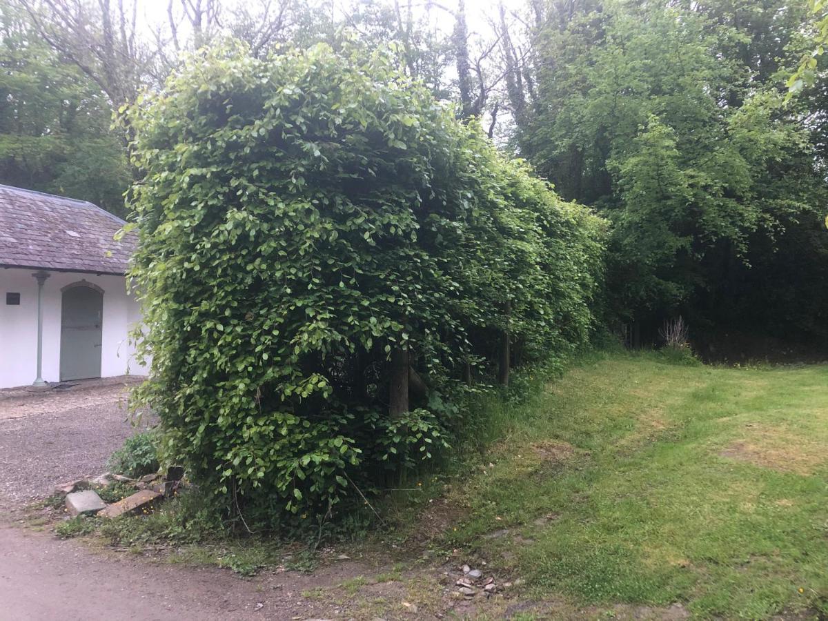 Stables Cottage, Idyllic Location Stunning Views Llandysul Exterior foto